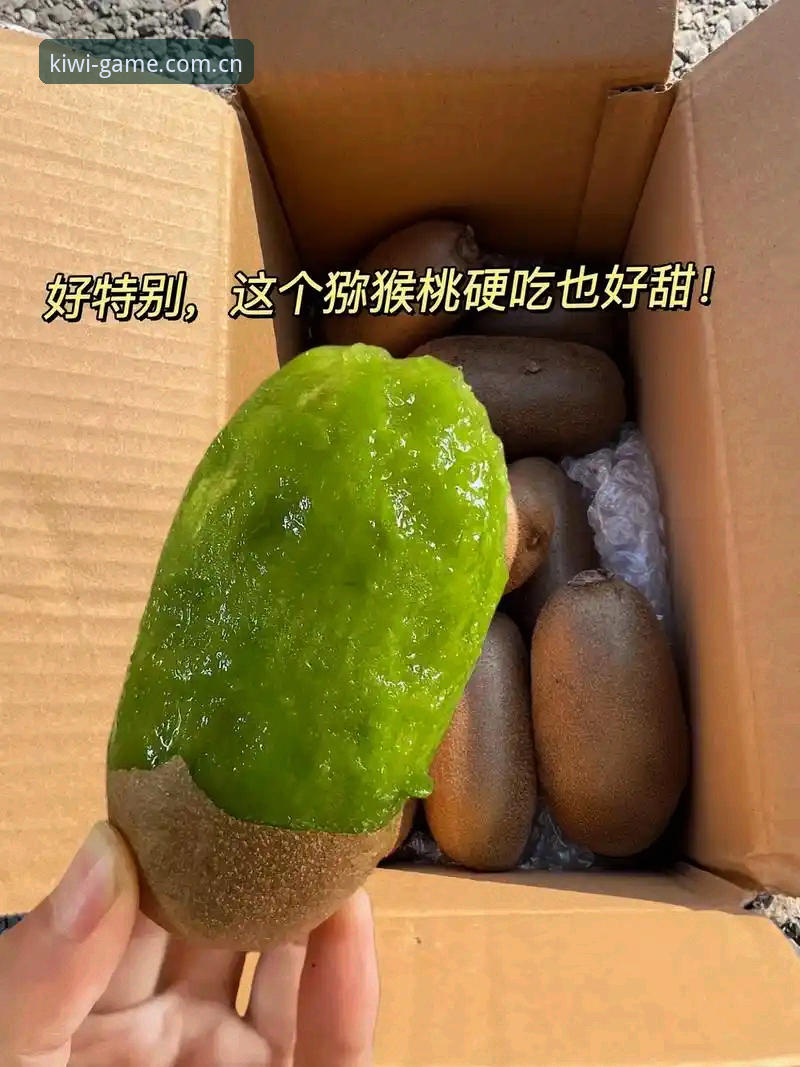 奇异果体育官方入口教程 奇异果体育官方入口教程:新手从零到熟练的全面解析