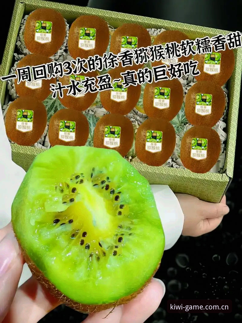 奇异果体育旧版本 奇异果体育旧版本使用详解:资深用户分享稳定体验与下载建议